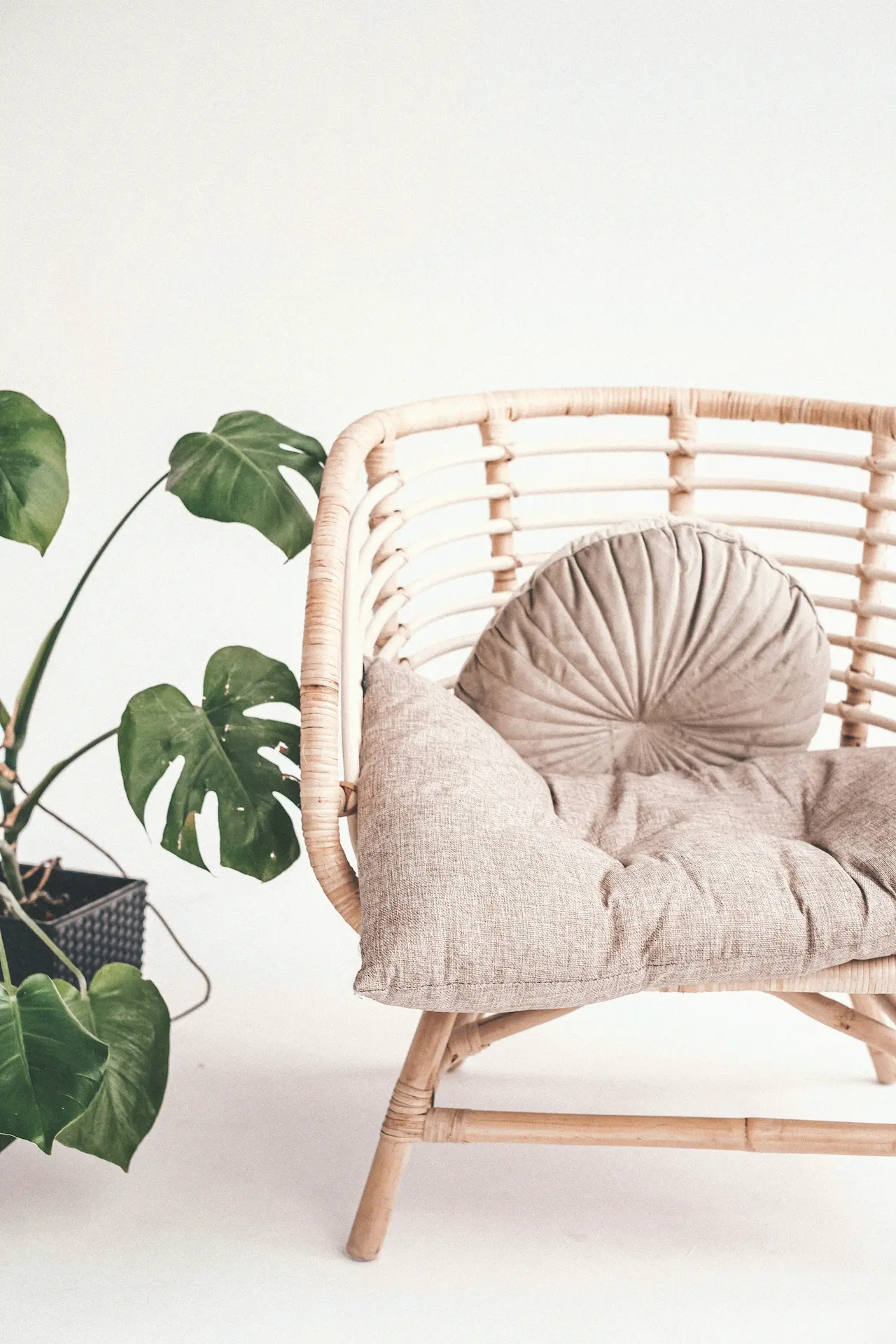 close up of a armchair with a plant next to it